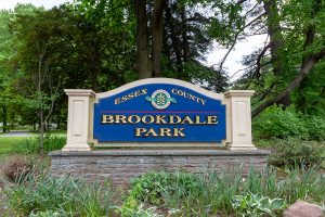Brookdale Park Bloomfield